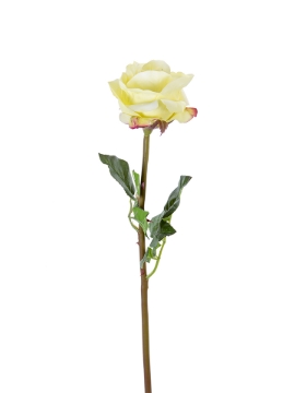 Picture of 25" FRESH TOUCH OPEN BEAUTY ROSE