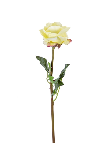 Picture of 25" FRESH TOUCH OPEN BEAUTY ROSE