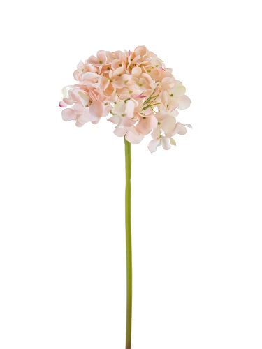 Picture of 21" FRESH TOUCH GARDEN HYDRANGEA