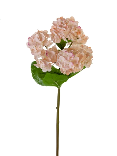 Picture of 25.5" FRESH TOUCH GARDEN HYDRANGEA