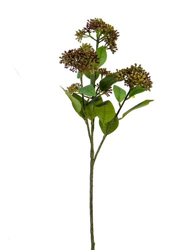 Picture of 30" SEEDED ALIUM SPRAY