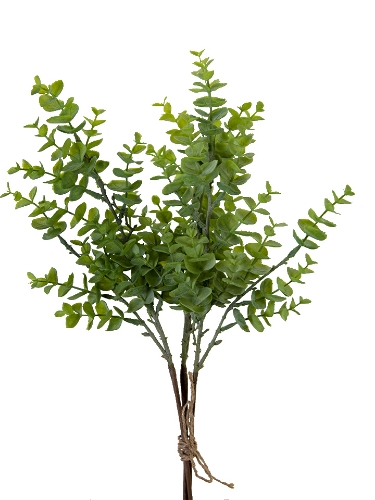 Picture of 20" SPIRAL EUCALYPTUS BUNDLE X3