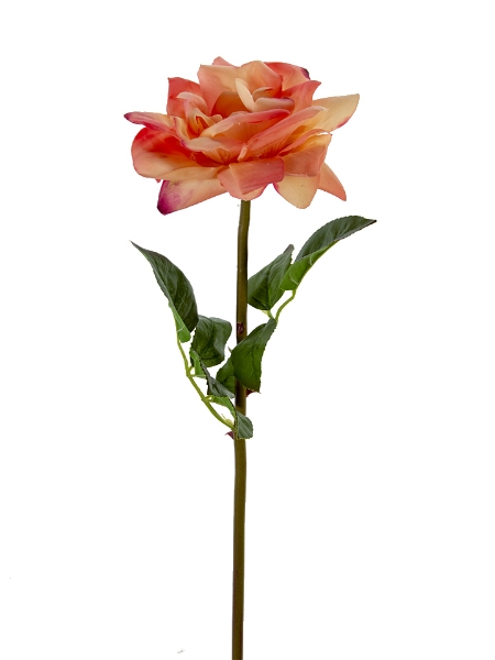 Picture of 26" REAL TOUCH OPEN ROSE STEM