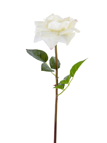 Picture of 26" REAL TOUCH OPEN ROSE STEM