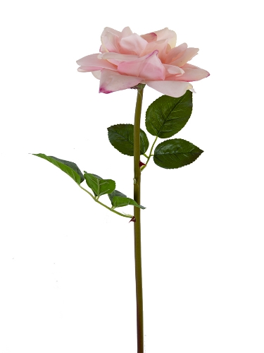 Picture of 26" REAL TOUCH OPEN ROSE STEM
