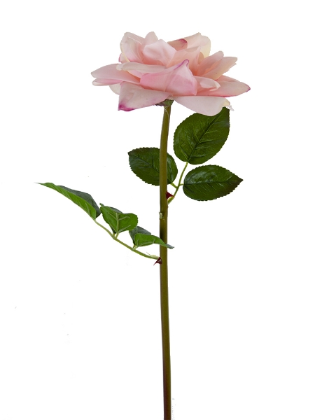 Picture of 26" REAL TOUCH OPEN ROSE STEM