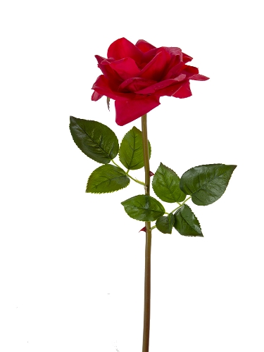 Picture of 26" REAL TOUCH OPEN ROSE STEM