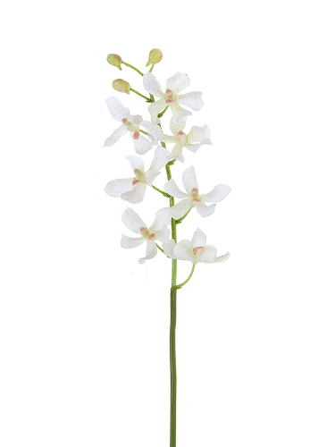 Picture of 24" REAL TOUCH MOKARA ORCHID