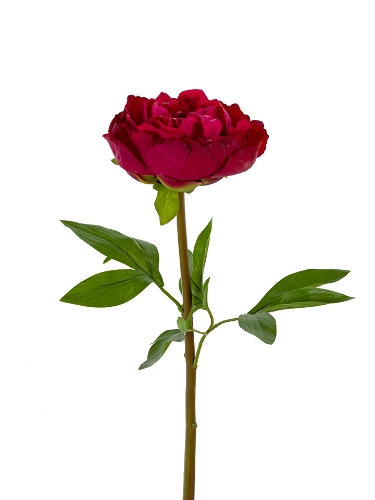 Picture of 26" REAL TOUCH PEONY STEM
