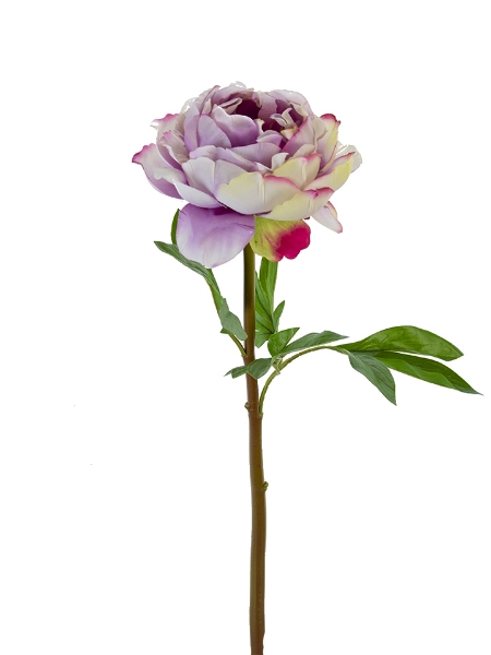 Picture of 26" REAL TOUCH PEONY STEM