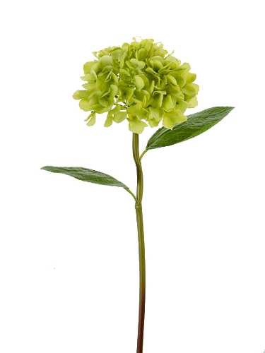 Picture of 21" REAL TOUCH HYDRANGEA