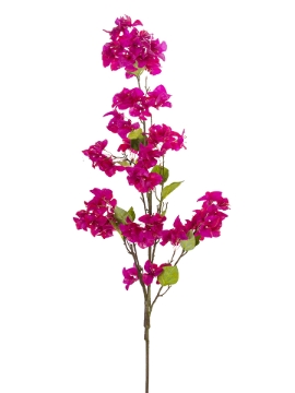 Picture of 54" BOUGAINVILLEA SPRAY