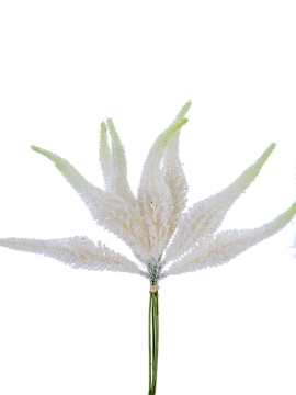 Picture of 15" SETARIA BUNDLE