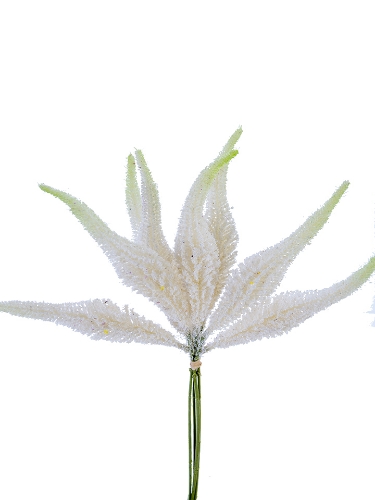 Picture of 15" SETARIA BUNDLE