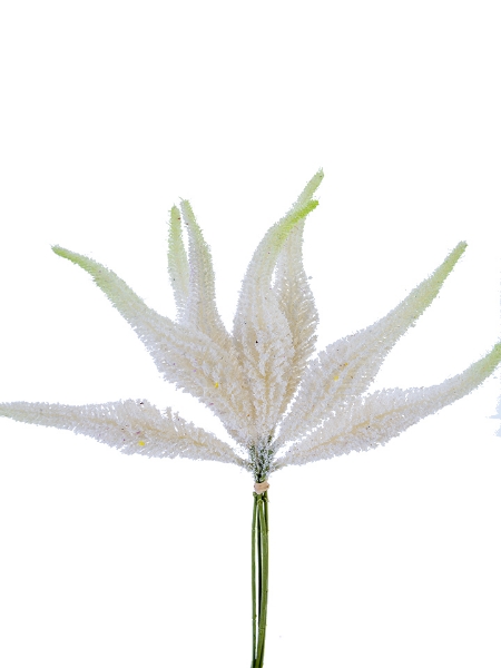 Picture of 15" SETARIA BUNDLE