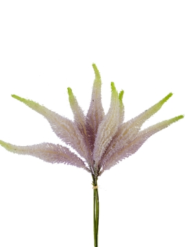 Picture of 15" SETARIA BUNDLE