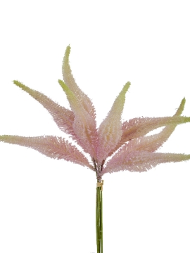 Picture of 15" SETARIA BUNDLE