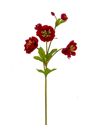 Picture of 24" REAL TOUCH HELLEBORUS SPRAY