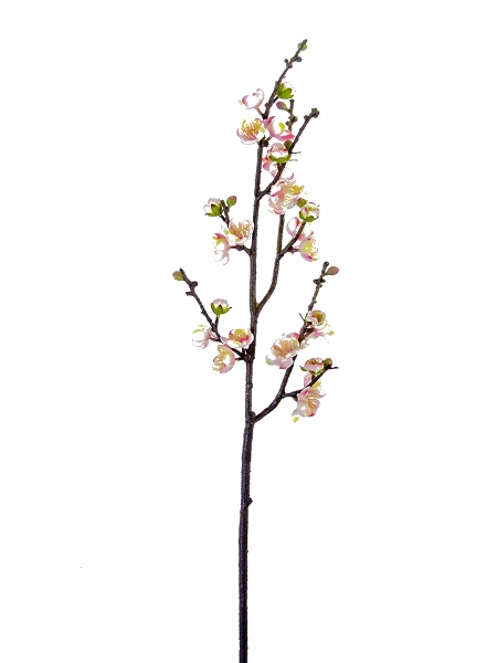 Picture of 35" REAL TOUCH PLUM BLOSSOM