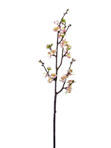 Picture of 35" REAL TOUCH PLUM BLOSSOM