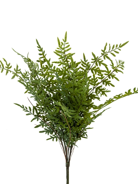 Picture of 25.5" PTERIS LEAF BUSH