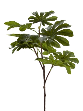 Picture of 39" FATISIA LEAF SPRAY
