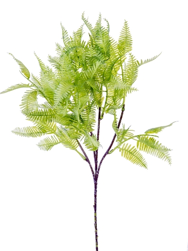 Picture of 21" BOSTON FERN SPRAY