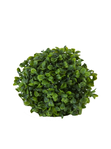 Picture of 6" BOXWOOD BALL