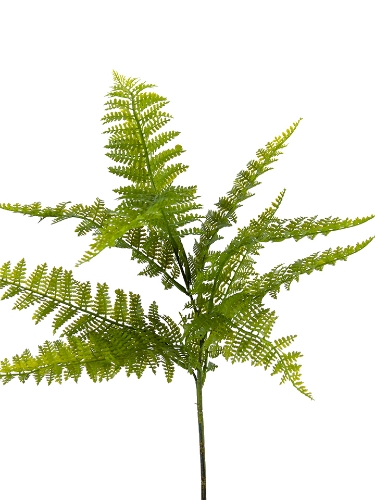 Picture of 27" DRYOPTERIS FERN