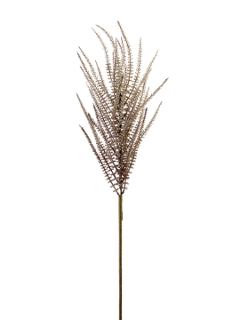 Picture of 44" UPRIGHT AMARANTHUS