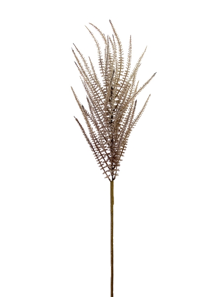 Picture of 44" UPRIGHT AMARANTHUS