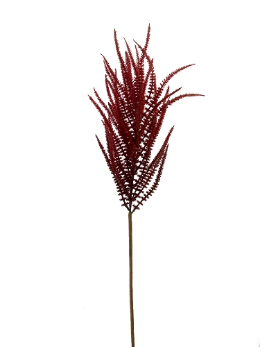 Picture of 44" UPRIGHT AMARANTHUS