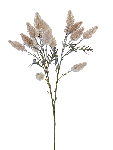 Picture of 25.5" FOXTAIL SPRAY
