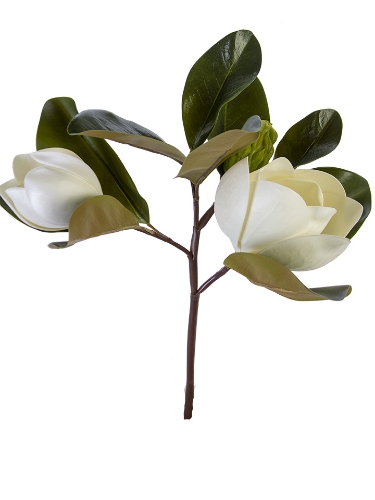 Picture of 17" MAGNOLIA PICK