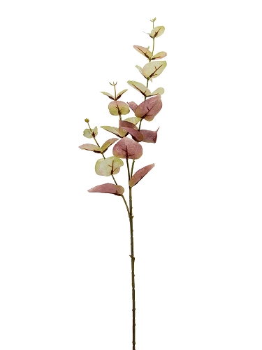 Picture of 34" EUCALYPTUS SPRAY