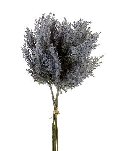 Picture of 15" PAMPAS BUNDLE