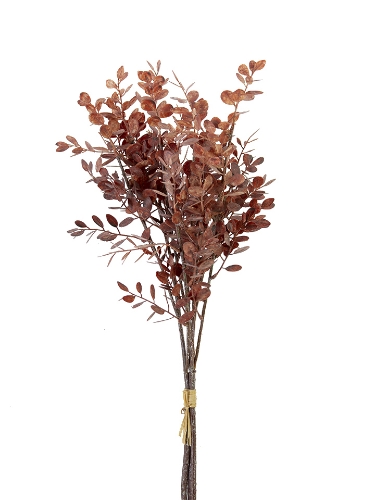 Picture of 28" EUCALYPTUS BUNDLE