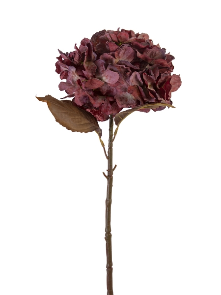 Picture of 25" DRIED HYDRANGEA SPRAY
