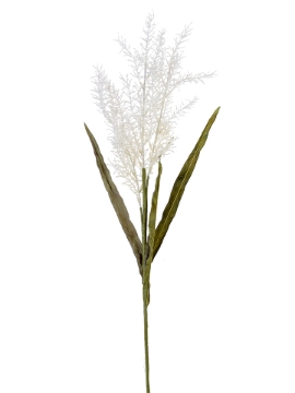Picture of 32" PAMPAS SPRAY