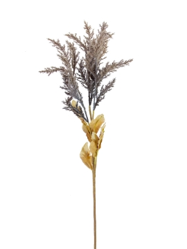 Picture of 31" PAMPAS SPRAY