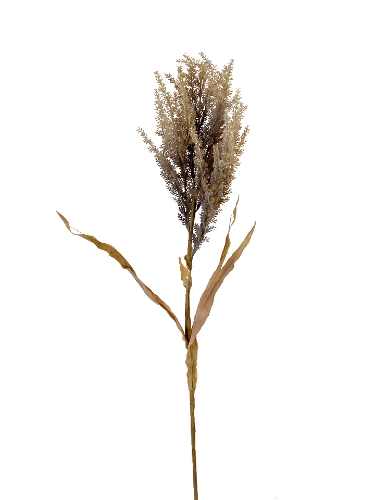 Picture of 39" PAMPAS SPRAY