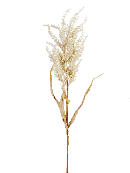Picture of 39" PAMPAS SPRAY
