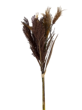Picture of 29" DRIED WHEAT GRASS BUNDLE