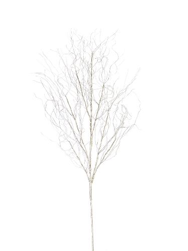 Picture of 36" CURLY BRANCH