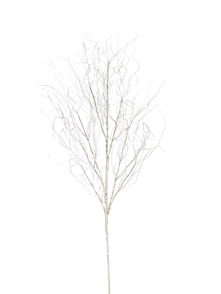 Picture of 36" CURLY BRANCH