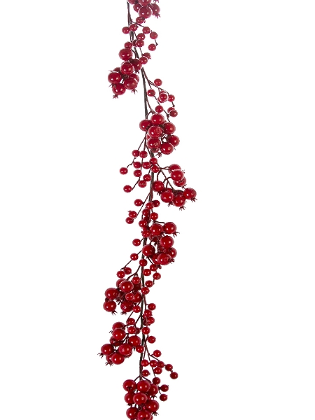 Picture of 5' OUTDOOR BERRY GARLAND