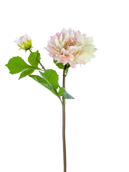 Picture of 21" FRESH TOUCH DAHLIA