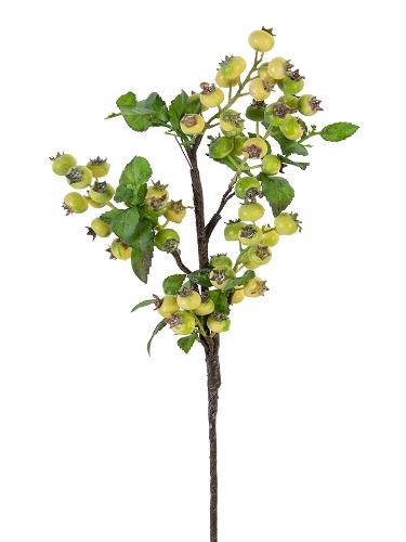 Picture of 20" BLUEBERRY SPRAY