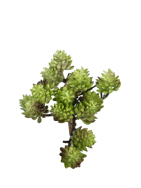 Picture of 5" SEDUM PICK
