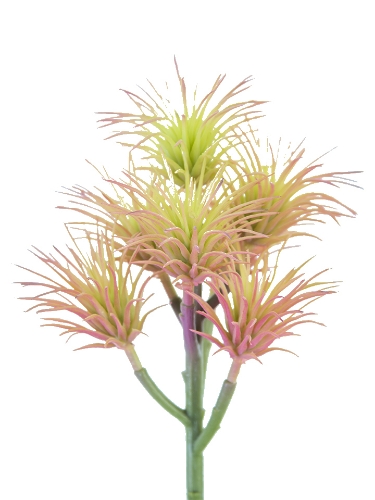 Picture of 8" TILLANDSIA PICK